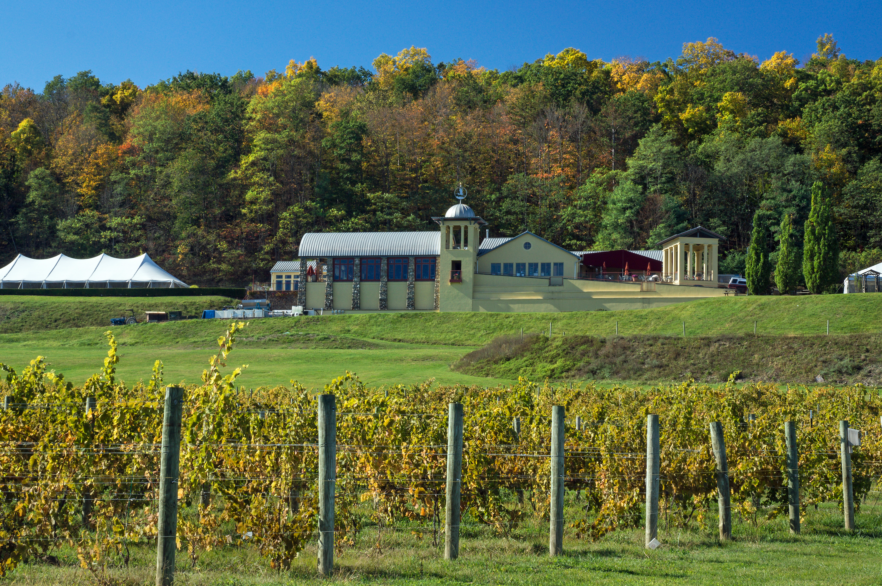 Exploring the World's Lesser-Known Wine Regions