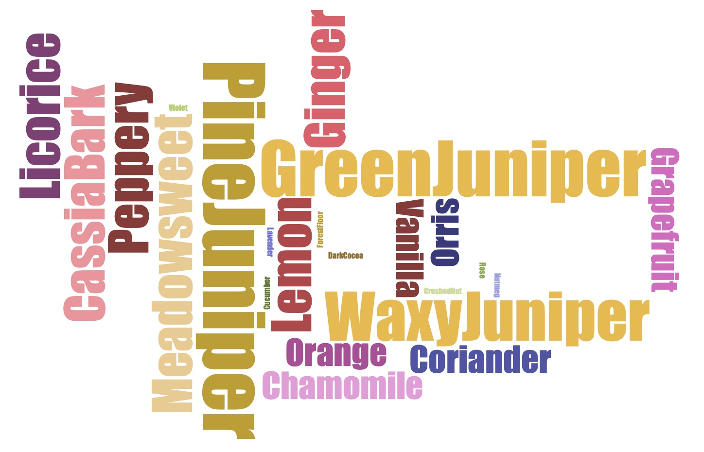 Gin Aroma Masterclass Kit - 24 Signature Aromas + Training Guide