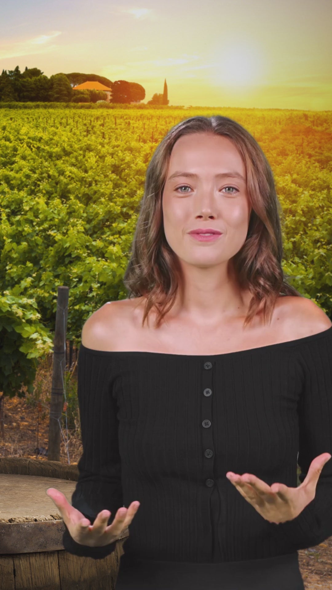 Wine Aroma Masterclass Kit - 24 Signature Aromas + Training Guide