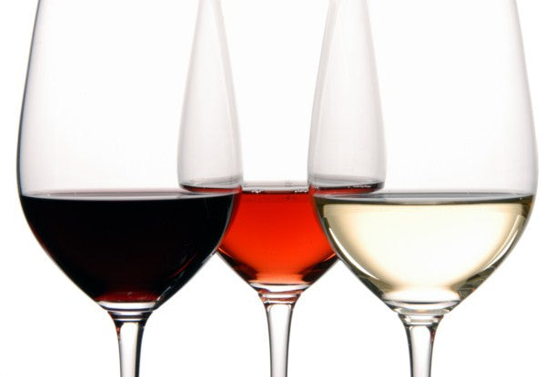 Wine Aroma Masterclass Kit - 24 Signature Aromas + Training Guide