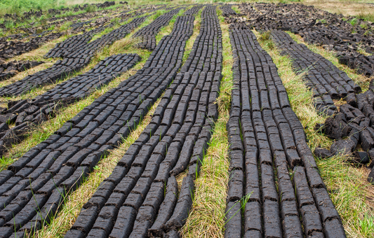 Peat's Place in Irish Whiskey: A Smoky Exception