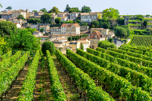 Sip, Sniff, Savor: Mastering the Mystique of Bordeaux with Our Essential Wine Aroma Training Kit