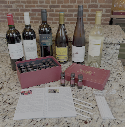 24 aromas del vino: comprenda y disfrute el buen vino