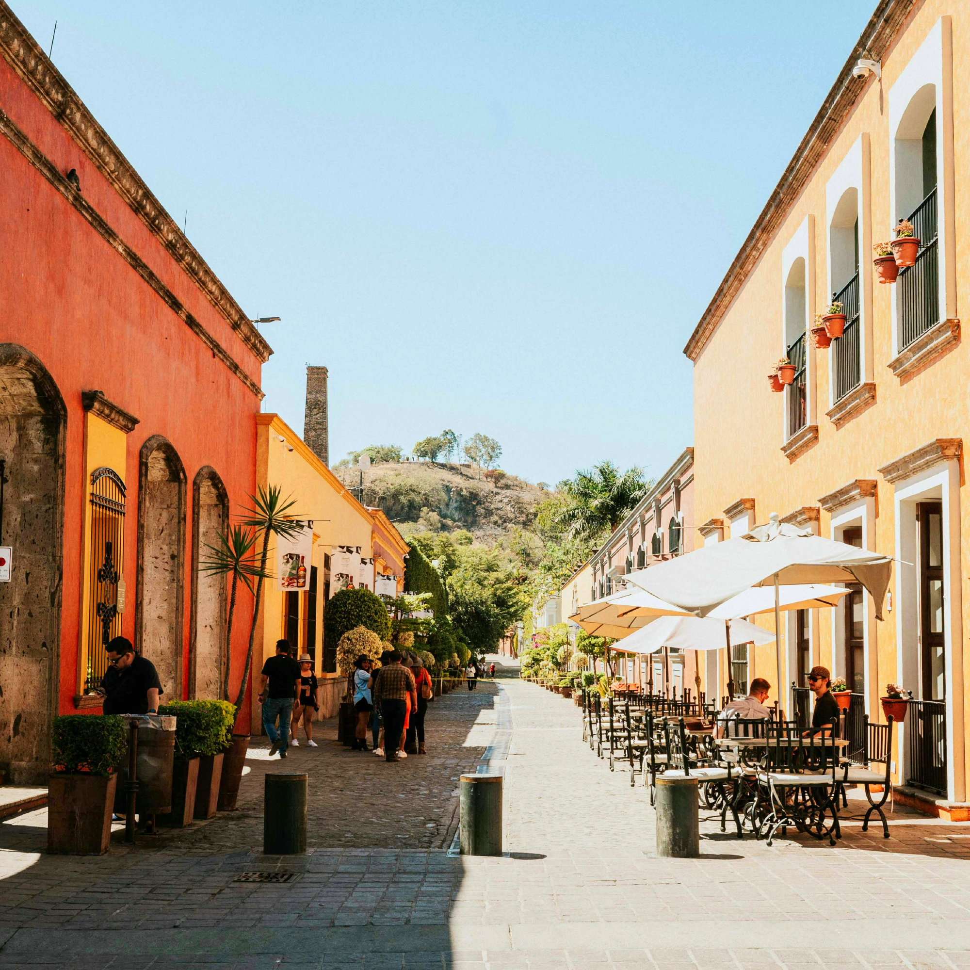 The Tequila y Mezcal Revolution: A History of Mexico's Famous Agave Spirits with Cocktail Recipes and Substitutions for Uncommon Ingredients to Plan Your Party