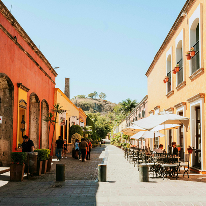 The Tequila y Mezcal Revolution: A History of Mexico's Famous Agave Spirits with Cocktail Recipes and Substitutions for Uncommon Ingredients to Plan Your Party